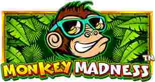 Monkey Madness Game Slot Online
