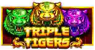 Triple Tigers Game Slot Online