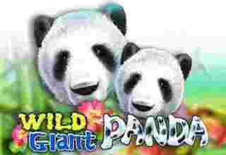 WildGiant Panda GameSlot Online -Memandang Bumi Buas Bersama Wild Giant Panda: Petualangan Slot Online yang Penuh Keajaiban.