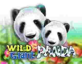 WildGiant Panda GameSlot Online