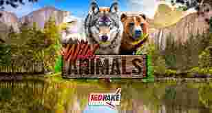 Wild Animals GameSlot Online